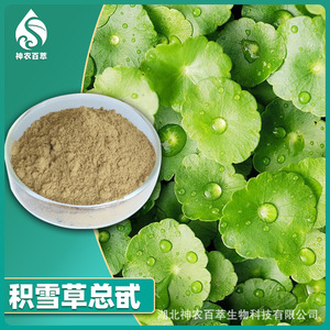 Glicósidos totales de Centella asiática al 10%, extracto de Centella asiática, polvo de glicósidos totales de Centella asiática, hidroxiacorbico - Product Image 2