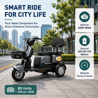 Listrik penumpang sepeda roda tiga 800W torsi tinggi Motor diam 2 tempat duduk listrik tiga roda untuk resor wisata Transportasi