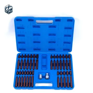 Great Wholesale Customized Alloy Steel Precision Machining S2 54pcs Plastic Box Bits Set