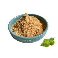 CiYuan Factory Supply 100% Pure Luo Han Guo Moine Fruit Powder avec emballage OEM