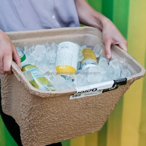 Kotak pendingin es cetakan bubur kertas ramah lingkungan kustom kotak kertas wadah tahan air
