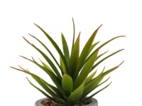 Vente directe Oh Arts Supplier : Plantes succulentes artificielles avec pot en ciment pour décoration intérieure