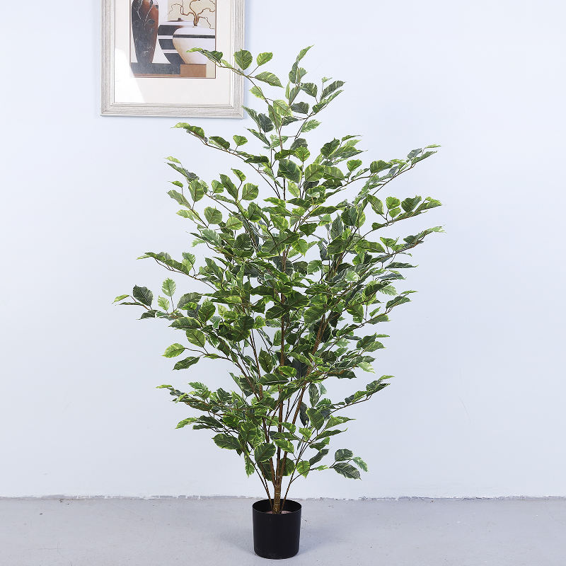 120ซม.-สีเขียวขาว