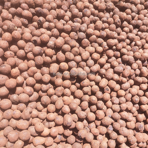 Trung Quốc teyuan nhà máy bán Leca bóng <span class=keywords><strong>Hydro</strong></span> bóng mở rộng đất sét sỏi cho thủy canh làm vườn vừa phát triển đá - Product Image 2