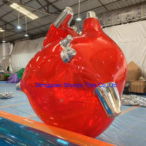 Shunyu Заказная надувная прозрачная модель красного сердца для медицинского Выставочного Мероприятия - Product Image 4