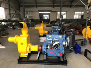 Bomba de aguas residuales autocebante operada por aire para transferencia de líquidos, bombas de diafragma de baja presión, bombas sumergibles para riego - Product Image 6