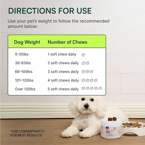 Friandises à mâcher molles personnalisées pour chiens, enrichies en enzymes et probiotiques, favorisent une digestion saine et un tractus intestinal équilibré - Product Image 4