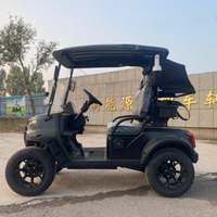 Voiturette de golf électrique 2 places à batterie lithium, certifiée CE, avec GPS et service après-vente à vie - Prix de gros