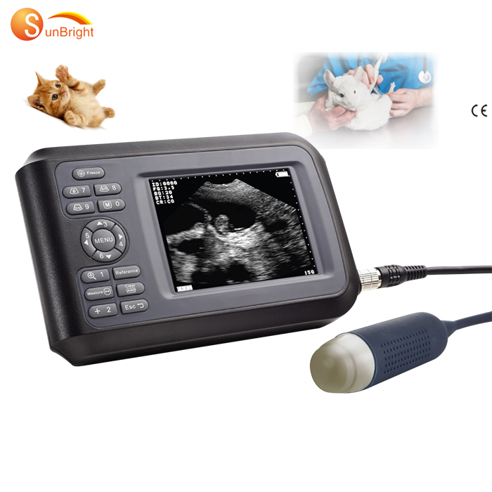 Portable Veterinary Monitoring Devices Veterinary Ultrasound