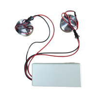 Amplificateur audio Bluetooth 2*15W avec haut-parleurs vibrants 25W