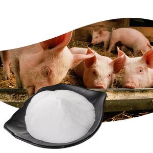 Polvere <span class=keywords><strong>di</strong></span> Trimetilglicina <span class=keywords><strong>di</strong></span> Alta Purezza per Integratori Alimentari, <span class=keywords><strong>Betaina</strong></span> Anidra al 98% - Product Image 2