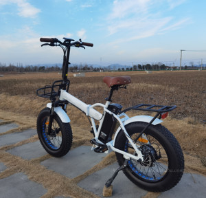 Vélo électrique pliable portable en alliage d'aluminium 20'' 250W, vélo électrique à pneus larges léger pour le transport, vente en gros - Product Image 6
