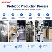 Bifidobacterium Lactis en Polvo Probiótico, Certificado ISO9001/Halal/Kosher, Grado Alimenticio, Suministro a Granel, Paquete de 1 kg, Inventario Paletizado
