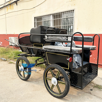 Haute qualité Nice Looking Horse Training Marathon Horse Cart Racing Pony Carriage