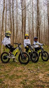 HUS Moto tout-terrain 20 pouces 2500W 40km/h Minibike Motocross V2pro Hauteur de selle 72cm Batterie 48V 12.5Ah - Product Image 5