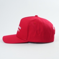 Fabrieksontwerp Katoenen Baseballpet Op Maat Geborduurd Logo Lente Zomer Outdoor Sport Dot Fruit Patroon Hot Sale Oxford Stof