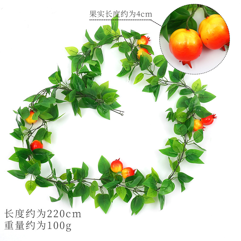 Vignes de grenade (gros fruit)