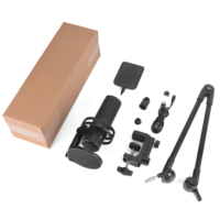 Set Microfono a Condensatore Professionale per Computer con Braccio e Filtro, Cancellazione del Rumore, Portatile, Cardioide GM7S 20Hz-20kHz per Gaming