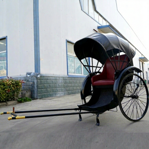 Bicitaxi/Triciclo de Pasajeros Zhenda China, Nuevo Modelo OEM, con Marco de Acero Q235B, Color Personalizado, 1 Año de Garantía - Product Image 1