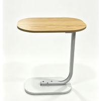 Table basse moderne pour salon, petite, portable, en bois et métal, écologique, avec rangement, facile à nettoyer, 38*28*58cm