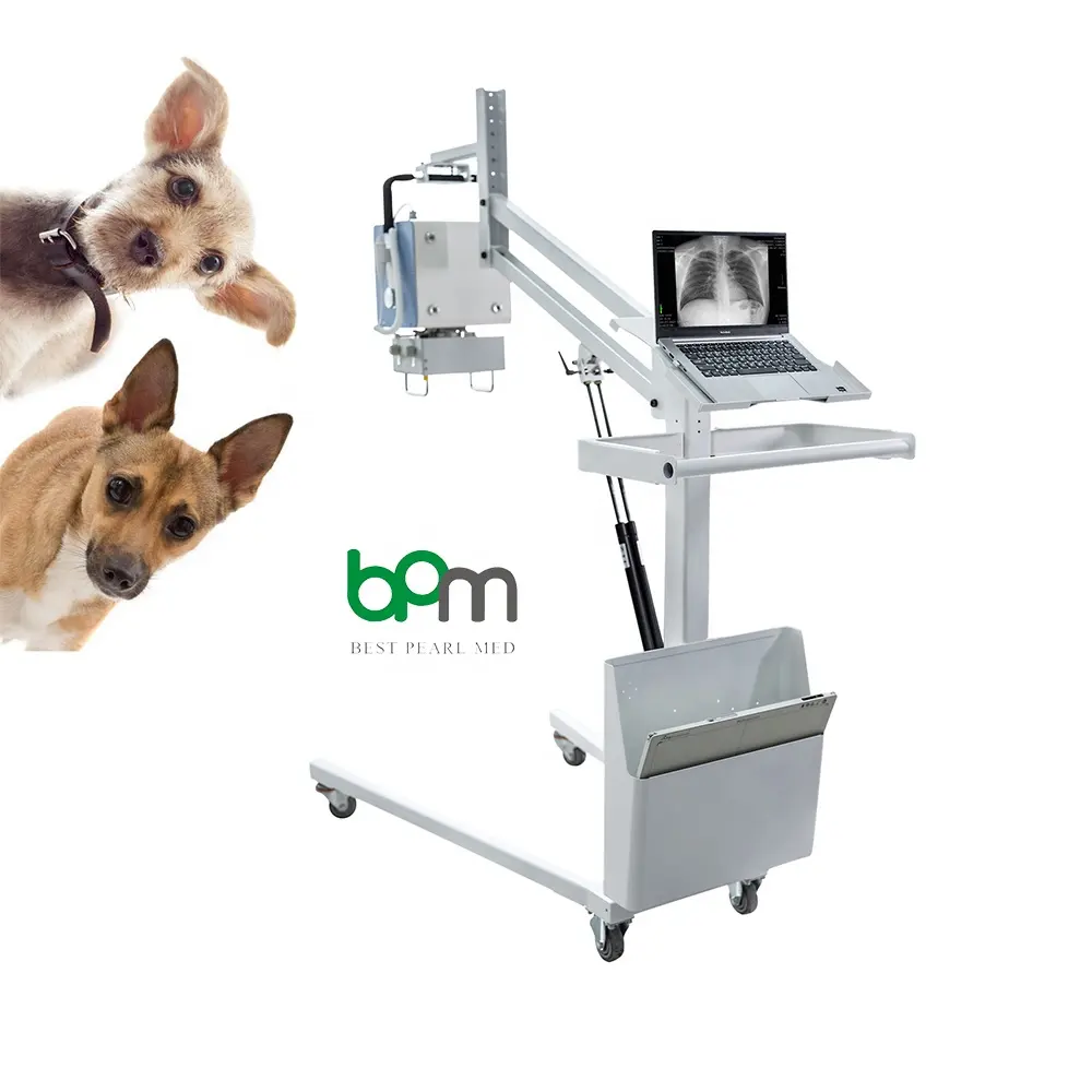 BPM-PR600V animais fluoroscópia e fotografia portátil máquina veterinária vet x ray