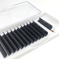 Extensions de cils individuels en éventail, courbure DD, 0.05 0.07 0.03, 17mm, faciles à poser, en poils synthétiques, bande noire en plastique, aspect naturel