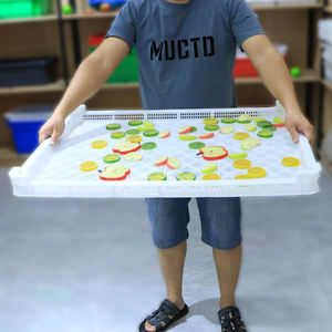 Bandejas de Secado Apilables de Plástico para Pepino de Mar / Mariscos / Pescado / Bolas de Pintura / Gomitas / Cápsulas Blandas / Vegetales - Product Image 5