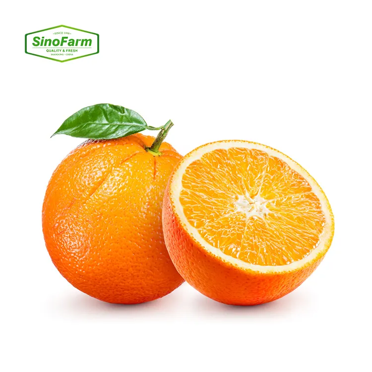 Wholesale Delicious Sweet Fresh Citrus Fruit Fresh Oranges Red Citrus Red Orange For Sale