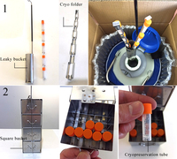 Réservoir d'azote liquide vertical, stockage cryogénique, réservoir sous pression en acier inoxydable, étagère à 4/5 niveaux pour échantillons de congélation