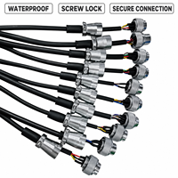 Conector Circular Macho de 9 Pines WS16 para Aviación, Ensamblaje de Cable IP68 Impermeable, Carcasa Metálica con Bloqueo de Rosca, Chapado en Oro, Industrial