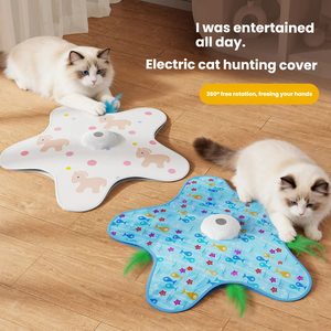 Giocattolo Elettrico Intelligente per Gatti, Automatico, con Movimento Irregolare a 360 Gradi, 3 Velocità, Tipo C - Product Image 1