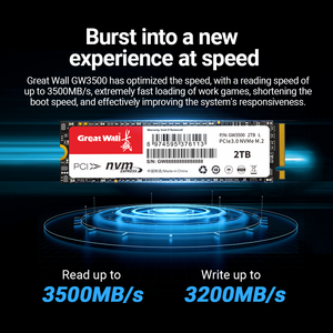 Grande Muralha GW3500 NVMe M.2 PCIe3.0 SSD Interno 3D NAND TLC 128G/256G/512G/1T/2T Velocidade de leitura máxima 3500 MB/s EMC ROHS Certificado para - Product Image 4