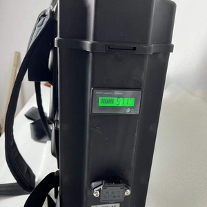 Portable Cordless Electrostatic Fogger Machine Sterilization Disinfection Handheld Backpack Electric Mist Sprayer - Product Image 4