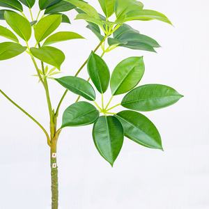 Planta Artificial Decorativa para Interiores, Tipo <span class=keywords><strong>Schefflera</strong></span> Microphylla Merr, con Hojas Grandes, <span class=keywords><strong>de</strong></span> Plástico Ecológico, 120 cm - Product Image 6