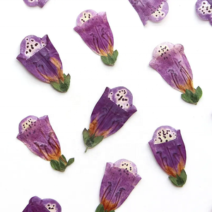 Yuyang vera pianta naturale fiori pressati secchi digitale <span class=keywords><strong>fiore</strong></span> per resina epossidica gioielli, fabbricazione di candele - Product Image 1