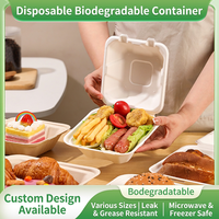 Boîte à hamburger Interpac en bagasse de canne à sucre 6x6 pouces, emballage biodégradable en forme de coquille pour les restaurants de restauration rapide à emporter