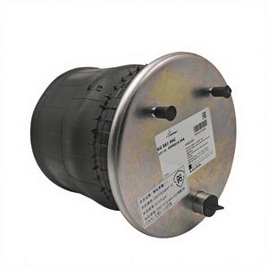 Nouvelles ventes chaudes 2025 – Ressort pneumatique d'essieu léger PANSHI OEM DAFFB34887-9C pour remorques - Product Image 1