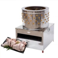 Machine à plumer les poulets en acier en gros du fournisseur du Henan - Pour volailles 220V/380V Garantie 1 an Faible MOQ