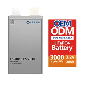 丽莎价格优惠锂离子LiFePO4/NCM/钠3.2v 20Ah 30Ah 50ah电动汽车/ebike LiFePO4袋电池