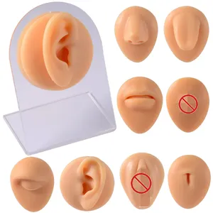 Silicone Mô Hình Linh Hoạt Mô Phỏng Cho Trang Sức Hiển Thị Bụng Nhẫn Tai Mắt Núm Vú Trang Sức Gửi Trong Suốt Hiển Thị Đứng