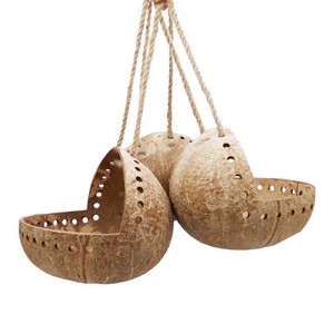 Bols en coquille de noix de coco bon marché cuillères fourchette-coquille de noix de coco crue pour coquille de noix de coco artisanale - Product Image 1