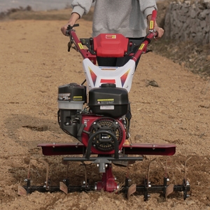 Motoculteur à essence 6HP 170 pour la culture de la canne à sucre avec démarreur à rappel, haute productivité - Product Image 1