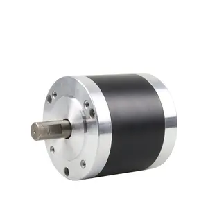 Brushless Brushless fırçasız Dc Motor düşük güç fırçasız Dc Motor 4000rpm 12v 5hp 48v fırçasız Dc Motor 1000 rpm