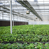 Kit de serre en verre agricole moderne avec système hydroponique système de refroidissement système d'irrigation pour légumes fruits fleurs