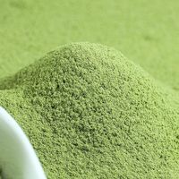 Extrait de menthe poivrée naturel en poudre 10:1 de qualité alimentaire avec menthol, fourni en gros par l'usine
