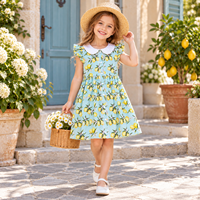 Dress Anak Perempuan Katun Musim Panas Motif Lemon Kerah Peter Pan Lengan Ruffle OEM ODM Grosir
字符约：110
