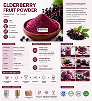 Bubuk Ekstrak Buah Elderberry Kering Beku Larut Air Grosir, Bahan Baku Bubuk Jus Elderberry Murni Kelas Makanan
