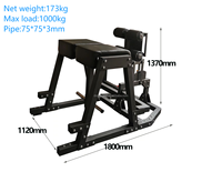Chaise romaine professionnelle en métal pour entraînement abdominal et dorsal, avec fonctions de soulevés de jambes, tractions, curls, extensions et hyperextensions