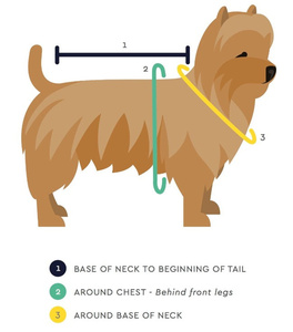 Qiqu Fournitures <span class=keywords><strong>pour</strong></span> animaux de compagnie, nouvelle robe de <span class=keywords><strong>chien</strong></span> design <span class=keywords><strong>personnalisée</strong></span>, coton biologique en bambou, robe de bain séchante <span class=keywords><strong>personnalisée</strong></span> <span class=keywords><strong>pour</strong></span> animaux de compagnie, robe de bain, <span class=keywords><strong>serviette</strong></span> <span class=keywords><strong>pour</strong></span> <span class=keywords><strong>chien</strong></span> - Product Image 6