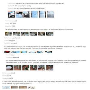 Super Absorbent 5-lagiges biologisch abbaubares Einweg-Pee-Pads für Hunde Benutzer definiertes Papier für das Welpen training Urinpad für Katzen im Freien - Product Image 5